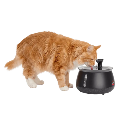 HydrateWell™ Cat Water Fountain – Fresh, Filtered Water