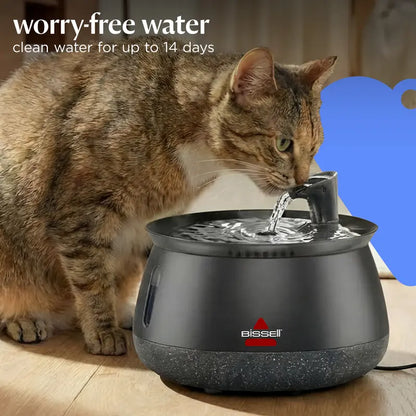 HydrateWell™ Cat Water Fountain – Fresh, Filtered Water