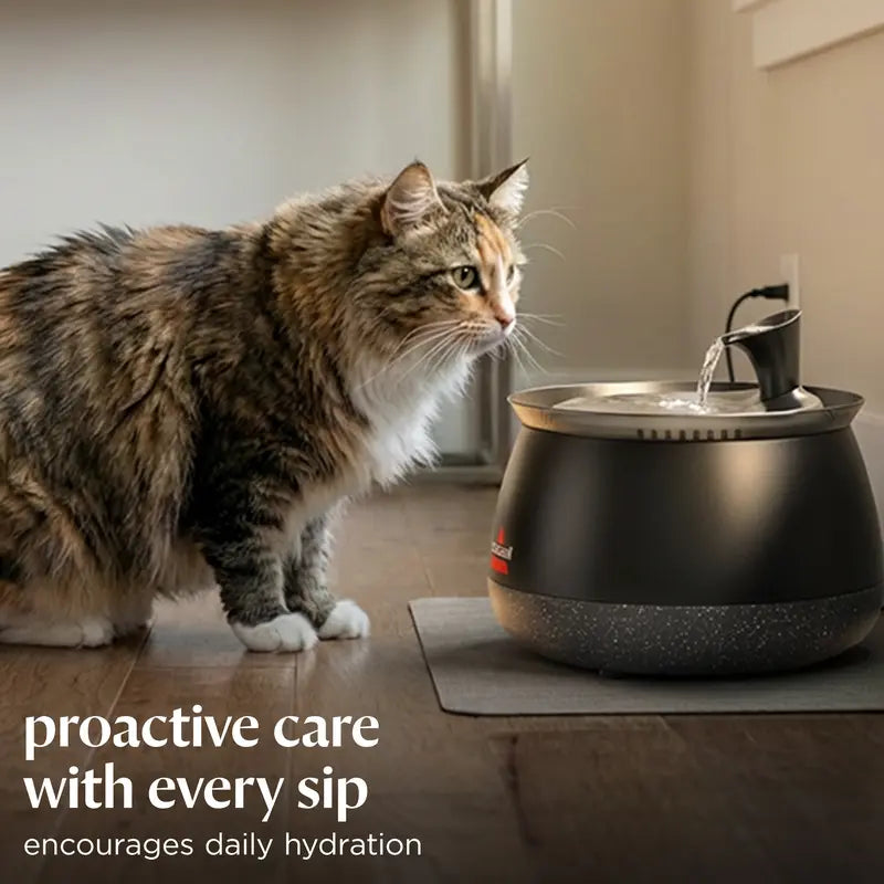 HydrateWell™ Cat Water Fountain – Fresh, Filtered Water