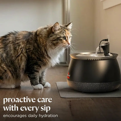 HydrateWell™ Cat Water Fountain – Fresh, Filtered Water